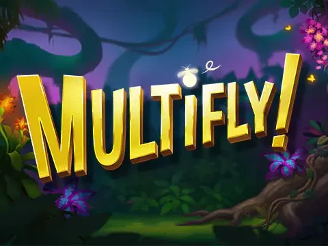 Multifly!